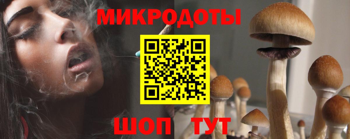 Галлюциногенные грибы прущие грибы  Вход с VPN  Алейск 